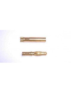 Conectores Oro 2 mm 1 pareja