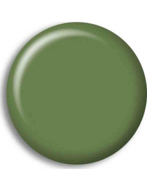 Pintura Acrilica RESEDA GREEN