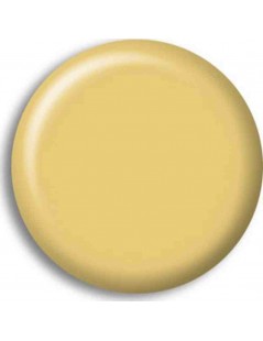 Pintura Acrilica GELBBRAUN (RAL8020)