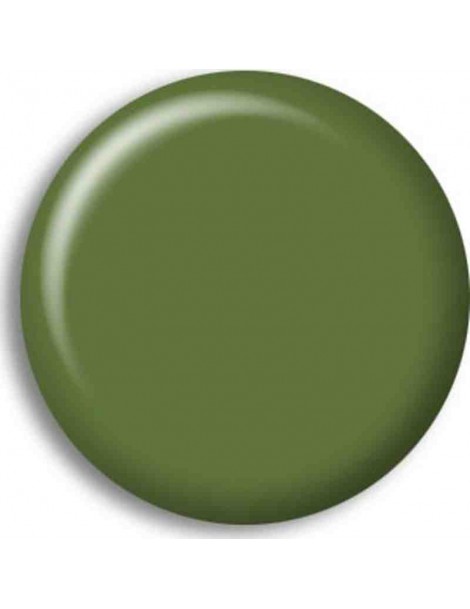 Pintura Acrilica VERDE PROTECTOR / PROTECTIVE GREEN