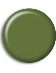 Pintura Acrilica VERDE PROTECTOR / PROTECTIVE GREEN