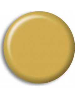 Pintura Acrilica OCRE ACEITOSO / OIL OCHRE