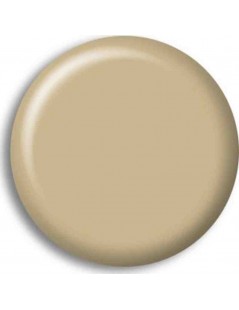 Pintura Acrilica AMARILLO GRISACEO / YELLOW GREY