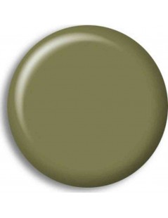 Pintura Acrilica CAQUI VERDE CLARO / LIGHT GREEN KHAKI
