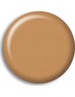 Pintura Acrilica TIERRA OCRE / OCHRE EARTH