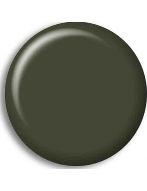 Pintura Acrilica GELBOLIV (RAL6014)
