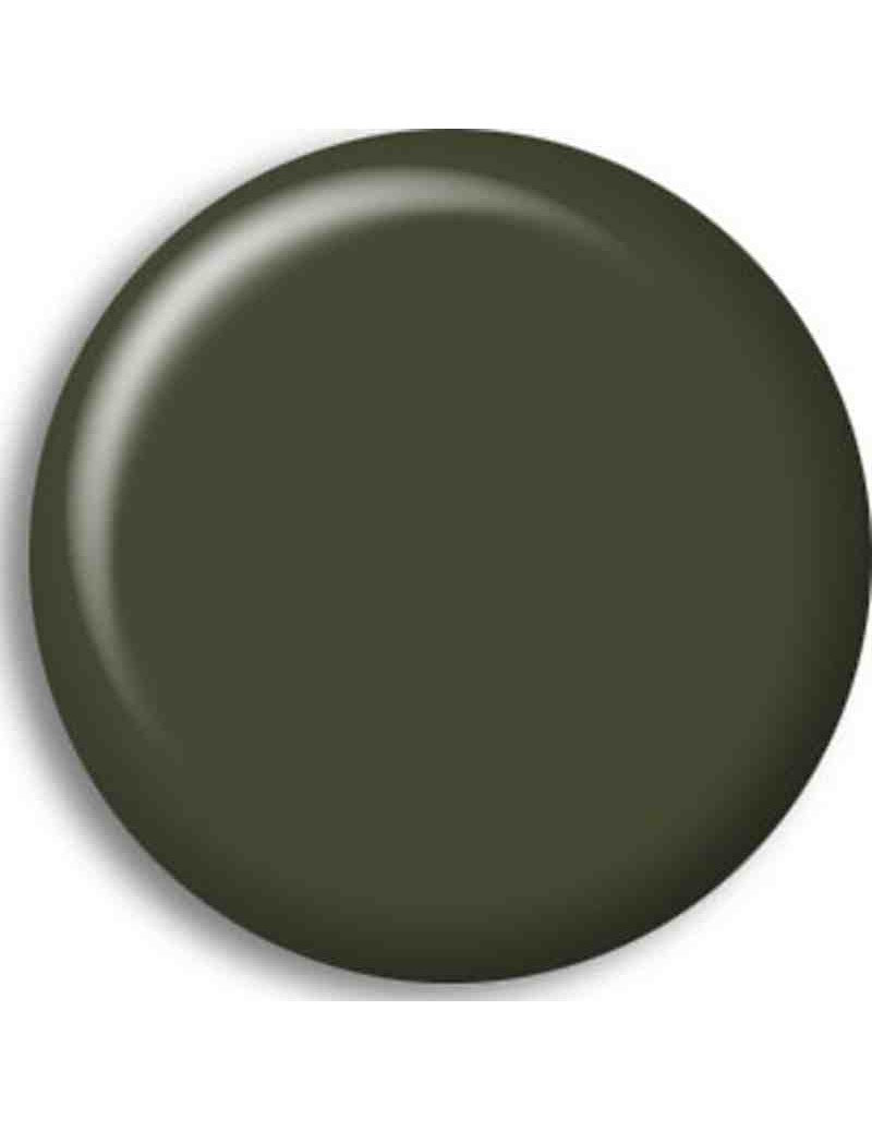 Pintura Acrilica GELBOLIV (RAL6014)