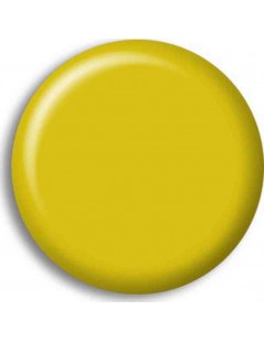Pintura Acrilica AMARILLO ORO / GOLD YELLOW (RLM04)