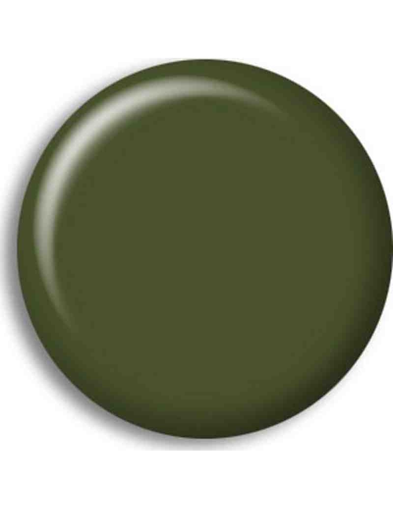 Pintura Acrilica BS 641 FS34079 (RLM81)