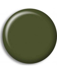 Pintura Acrilica BS 641 FS34079 (RLM81)