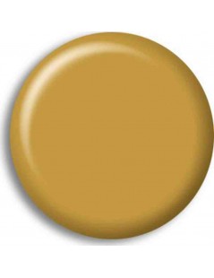 Pintura Acrilica SANDGELB (RLM79)
