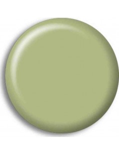 Pintura Acrilica DUCK EGG GREEN (BS216)